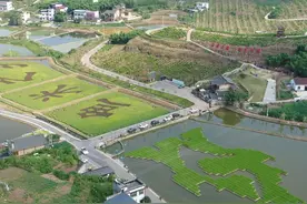 百城行｜向成渝地区重要旅游目的地出发 四川内江田园游乐“圈粉”图片