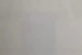 纪念｜郑重笔下的陈佩秋：亲谊重友，执着艺术图片