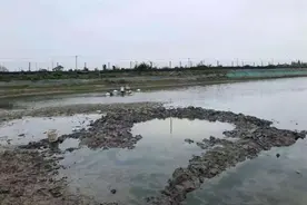 一声巨响！嘉兴上空掉下不明物体，当地已开始调查图片