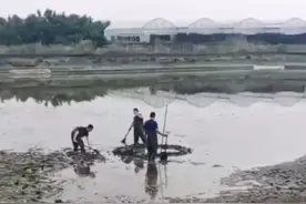 浙江嘉兴上空掉下不明物体找不到？圆形黑色的物体到底是什么？图片