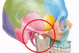 张不开嘴？小心是颞下颌关节紊乱病图片