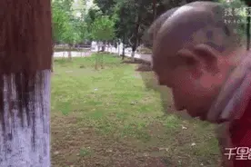 吊脖、倒挂、撞树……你以为是在健身，其实你是在玩命图片