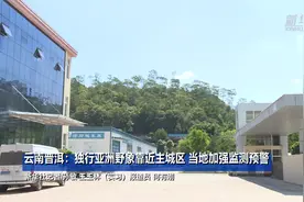 云南普洱：独行亚洲野象靠近主城区 当地加强监测预警视频封面