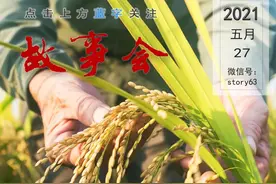 头条故事 | 铭记在心！关于袁隆平爷爷的10件事图片