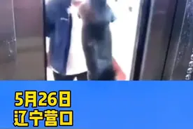 狗狗独自进电梯被吊半空，开门瞬间居民被吓得后退图片