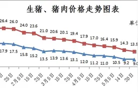 辽宁省发改委：生猪价格将继续震荡下行图片