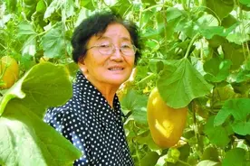 中国人能自由吃瓜，离不开这位奶奶图片