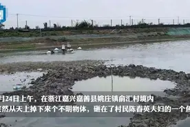 浙江嘉兴上空掉下不明物体，挖了1.5米深还未找到……图片