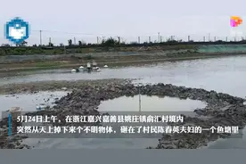 浙江嘉兴上空掉下不明物体，挖了1.5米深还未找到……图片