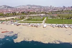 这种鼻涕一样的黏液，正塞满土耳其海岸图片
