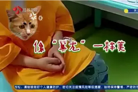 想看看他妈妈长啥样！萌娃走失向民警求助：我妈妈像翼龙一样美视频封面