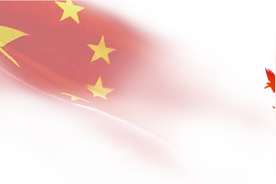 严师出高徒 苦练励精兵——新训汽车驾驶员纪实图片