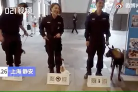 “扫码摸狗”真的来了，网友评论亮了图片
