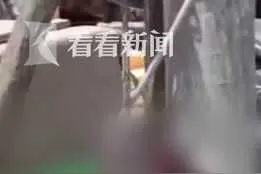 菜场老板棒杀走失宠物狗后挂树？警方介入调查图片