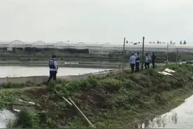 浙江嘉善鱼塘掉下不明飞行物，当地：暂时不发掘图片