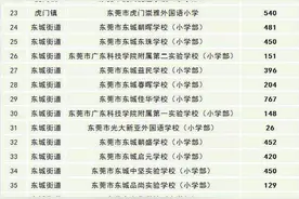 2021年东莞市民办学校电脑派位招生计划出炉图片