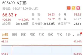 “功能饮料第一股”上市首日涨超40%，东鹏冲击功能饮料“王座”图片