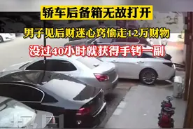别人的后备箱开了就随便拿东西？警察：抓你没商量图片