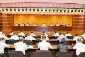 钦州召开政法队伍教育整顿查纠整改环节工作推进会图片