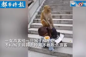 女子喂猴反被猴子踩头欺负，网友直呼：泼猴图片