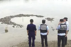 浙江嘉兴从天而降坠入鱼塘的不明物体 3天过去还没挖到！到底是个啥？网友脑洞大开……图片