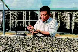 “木耳院士”李玉：“小木耳大产业”的“助产”人图片