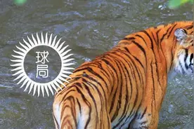 长白山深处有什么？图片