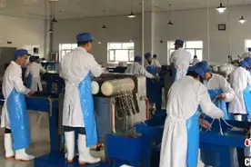 给肉肠穿上好衣 甘肃国产“羊肠衣”征服欧亚餐桌图片