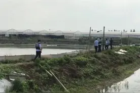 坠落在浙江鱼塘的不明物体，不挖了图片