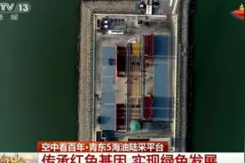 今日中国·山东篇丨「空中看百年」青东5海油陆采平台——传承红色基因 实现绿色发展图片
