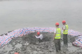 浙江嘉善不明物高空坠入鱼塘，现场未检测到放射性物质图片