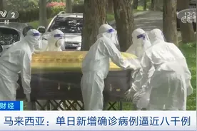 手机生产“告急”！亚洲多国疫情蔓延，多工业园暂时关闭，冲击全球产业链…图片