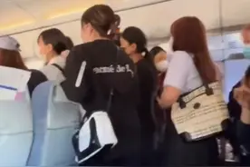 看到这群大象在街上溜达，想到了那个云南人骑大象上学的梗图片