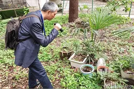 嘤嘤嘤，蚊子来了！疾控专家：城市蚊子还是那两种，防住它们也不难图片