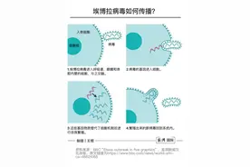 德堡“病毒暗史”：埃博拉病毒全球之旅及泄漏之虞带来的启示图片