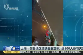 夜线约见：白蚁防治攻略视频封面