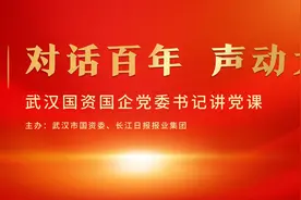 城投铁军的大武汉桥故事：从“一桥飞架”到“百桥竞渡”图片