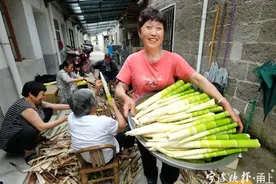 鲜笋即将落市 东吴邻里共尝“落刀鲜”图片