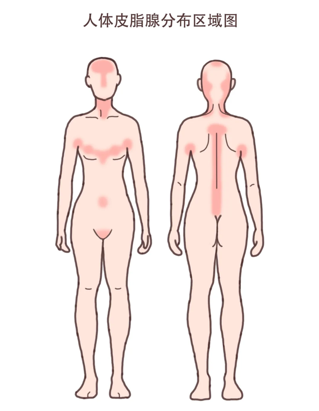 可以浸透衣服的身体乳