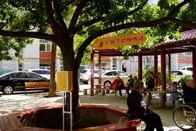 大树下的悄悄话，有点意思图片