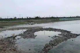 坠入浙江鱼塘的不明物体！最新消息来了图片