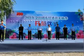 临淄区金山镇：桑葚采摘季风味农产品赶大集，工农两条腿，合力奔前程图片