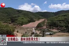 云南峨山：森林消防用大型无人机追踪“北漂”野象群视频封面