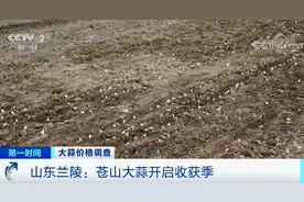 涨价了！你家常吃的调味食材，新上市！有些收购价竟翻一倍！还会继续涨吗？图片
