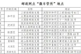 这些车证交管业务在家附近就能办了图片