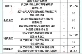 武汉首次！19家市属国企集中招聘，最高年薪百万（附岗位表）图片