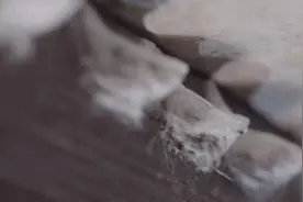 匠心工艺：燕之屋DNA检测技术保证燕窝品质图片
