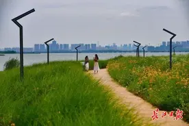 雨停了，天晴了，“六一”短衫要出勤了图片