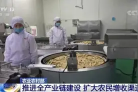 农业农村部将全面推进农业全产业链建设 扩大农民增收渠道图片