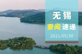 50余万株月季盛放，扮靓城市高架路图片